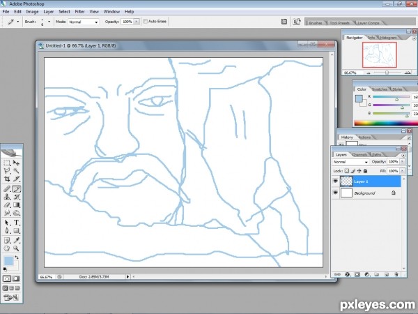 Creation of  face of winter : Step 1